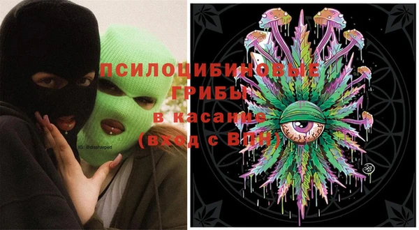 молекула духа Алексин