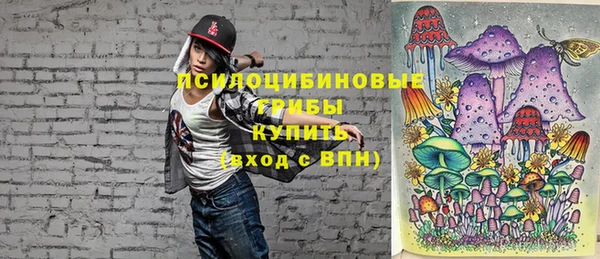 молекула духа Алексин