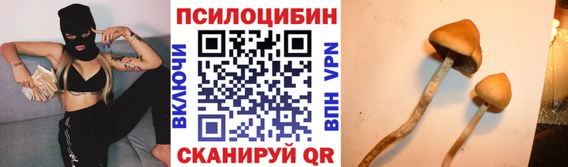 купить наркотик  Чухлома  Галлюциногенные грибы GOLDEN TEACHER 